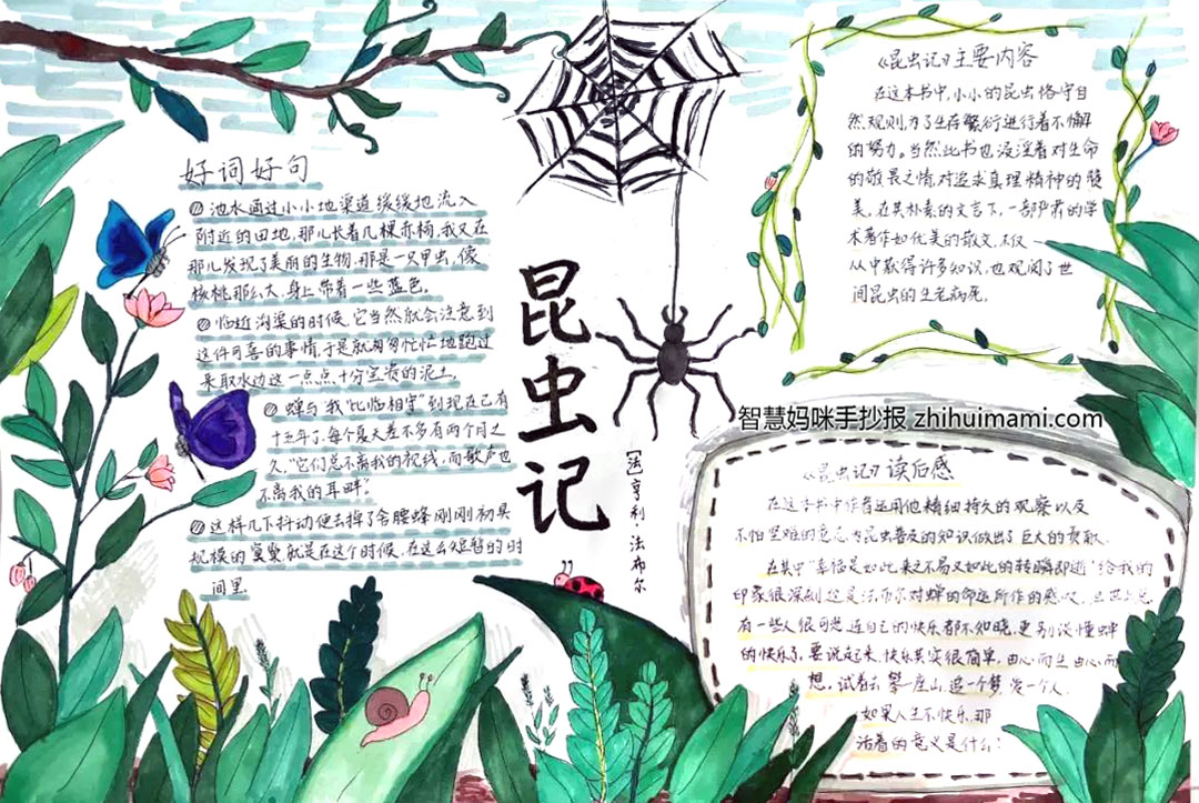 8张漂亮的昆虫记手抄报图片（一等奖）-图5