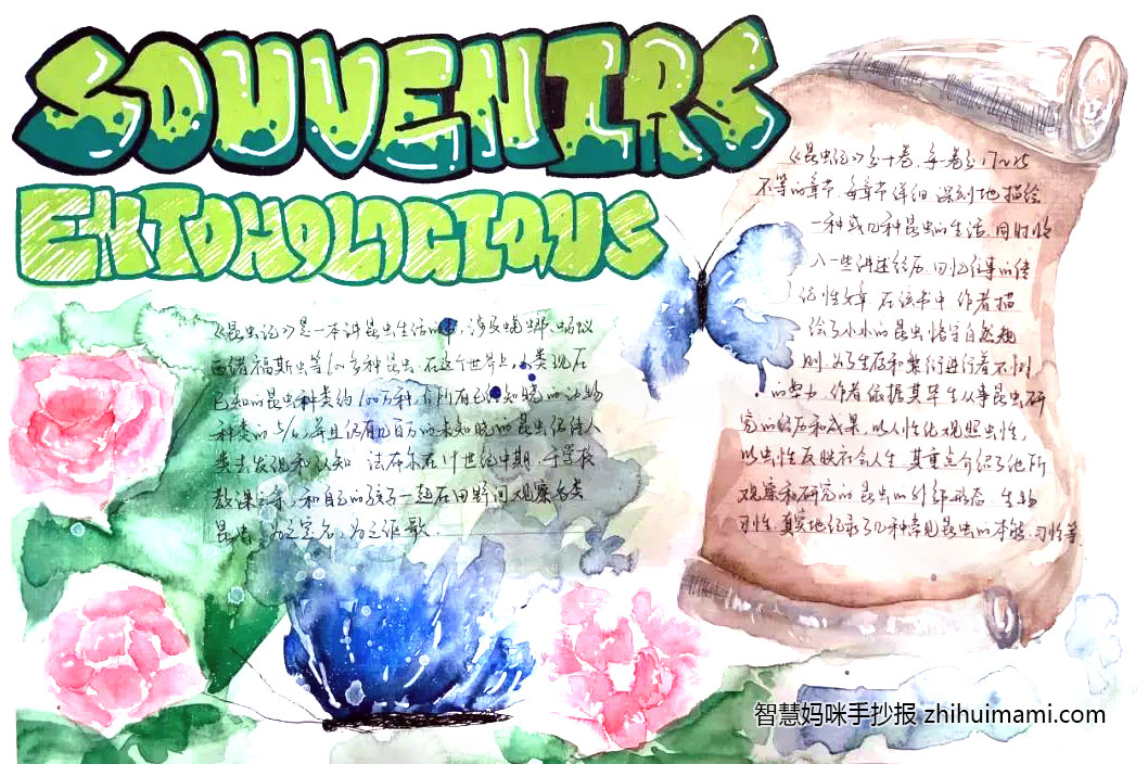 8张漂亮的昆虫记手抄报图片（一等奖）-图6