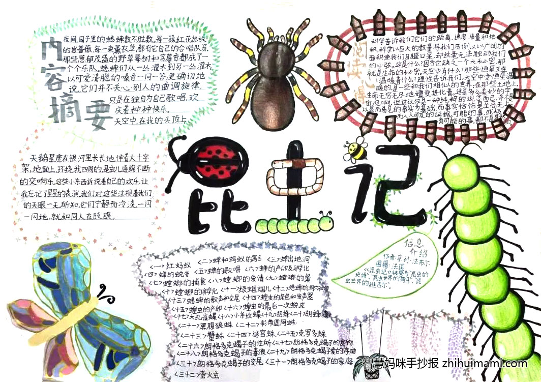 8张漂亮的昆虫记手抄报图片（一等奖）-图8