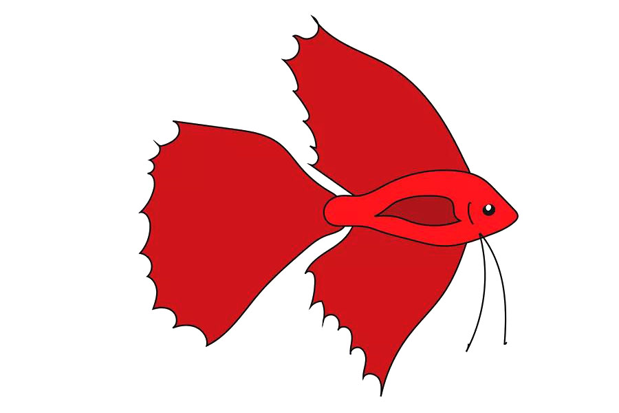 简单漂亮的斗鱼简笔画画法步骤