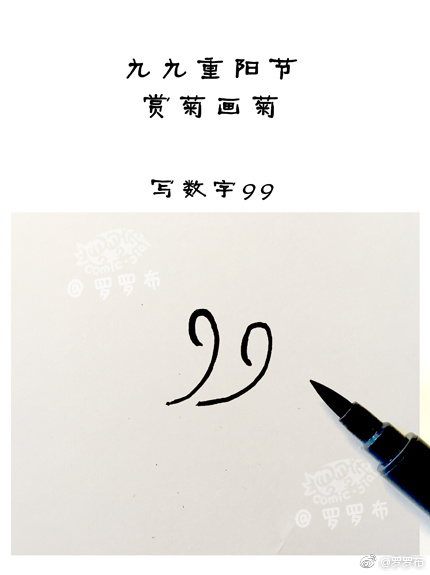 九九重阳赏菊画菊 菊花简笔画画法步骤-图1