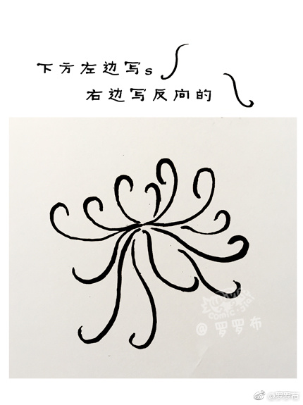 九九重阳赏菊画菊 菊花简笔画画法步骤-图3