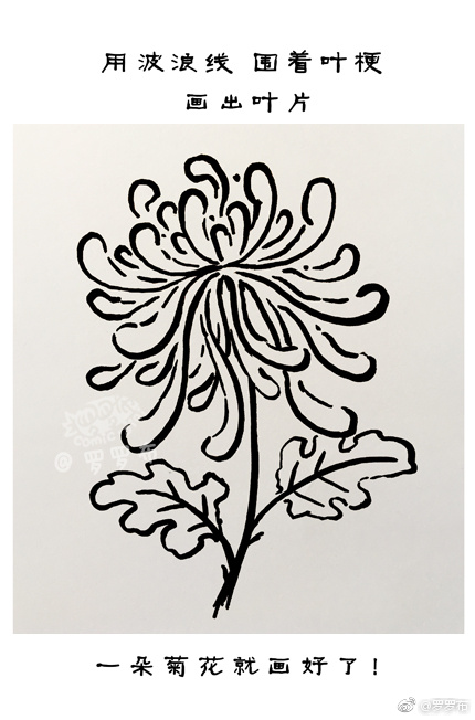 九九重阳赏菊画菊 菊花简笔画画法步骤-图8