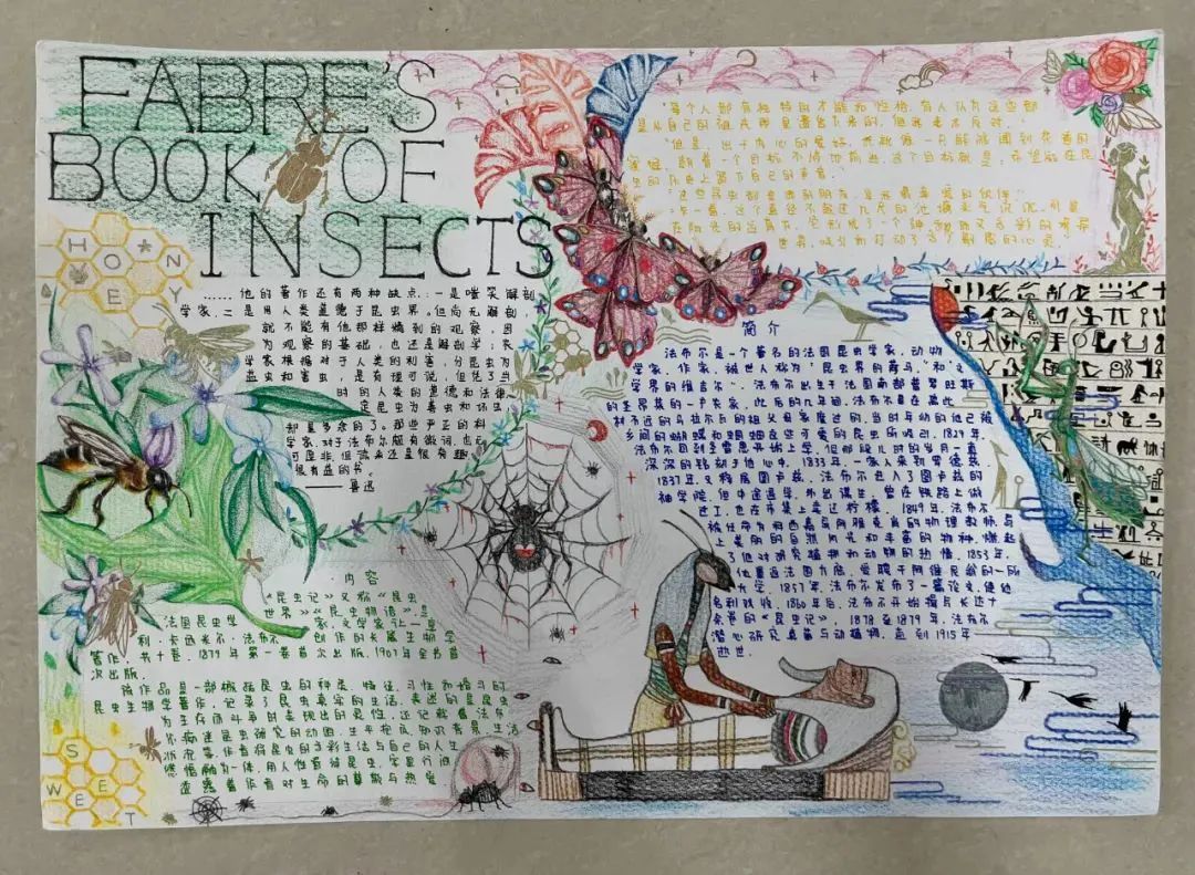 初中《昆虫记》手抄报优秀作品5张-图1