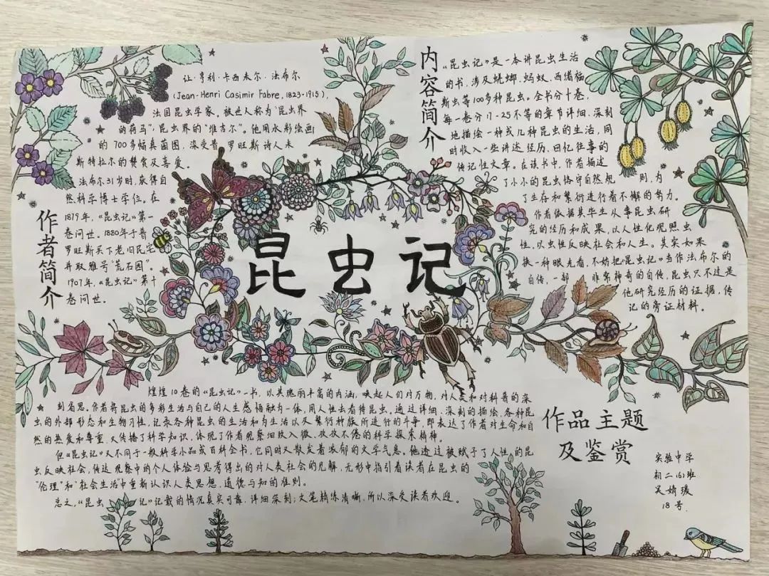 初中《昆虫记》手抄报优秀作品5张-图2