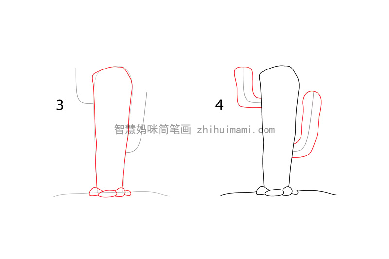 如何画仙人掌 高大的仙人掌简笔画画法步骤-图2