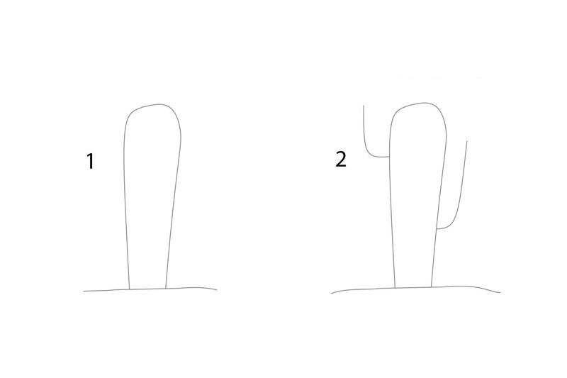 如何画仙人掌 高大的仙人掌简笔画画法步骤-图1