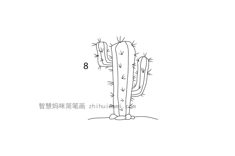 如何画仙人掌 高大的仙人掌简笔画画法步骤-图5