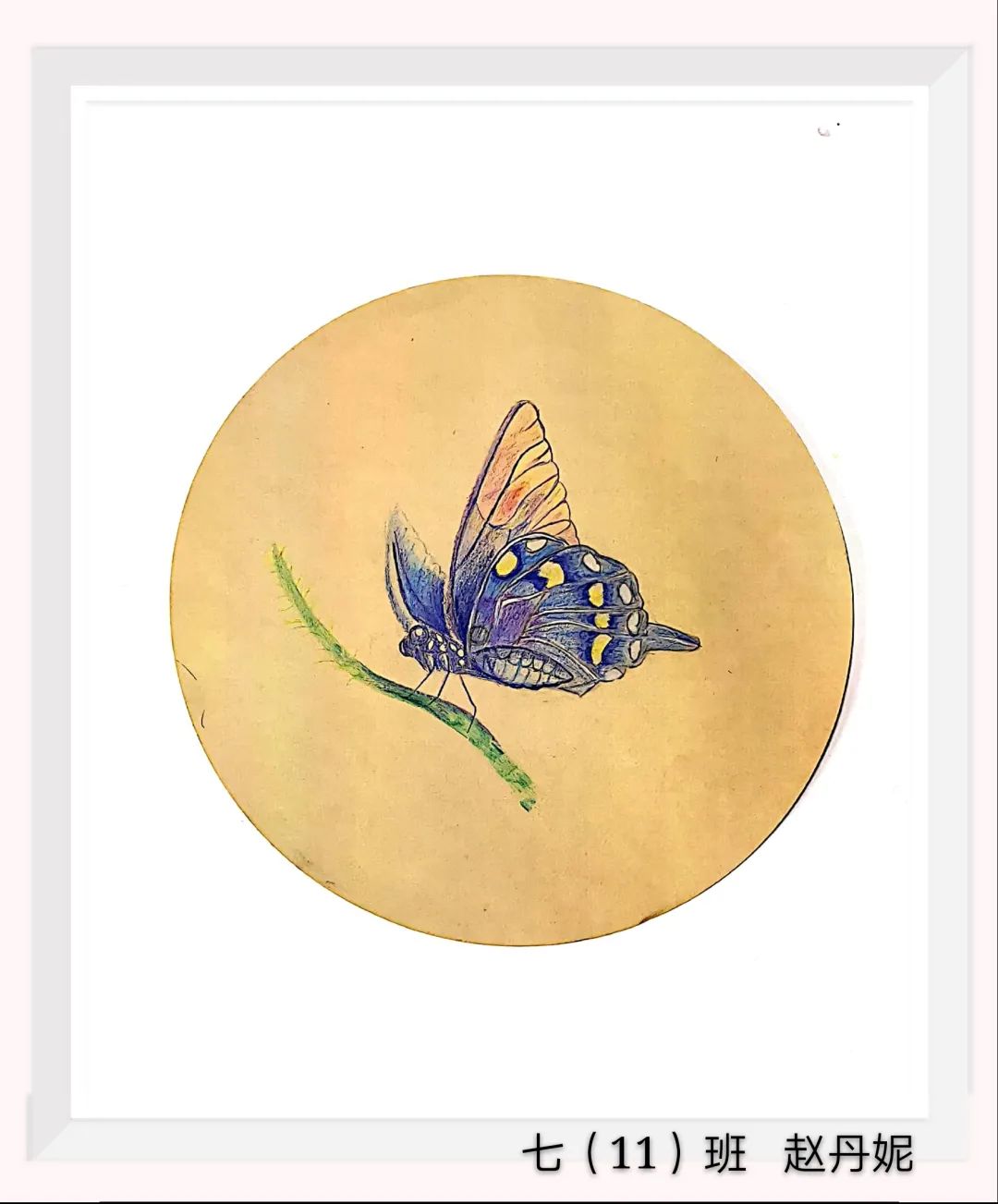 非常漂亮的5张儿童创意绘画精品-图5