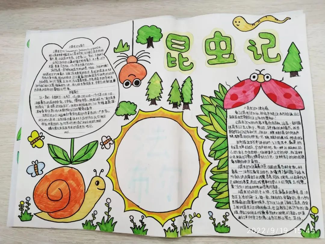 《昆虫记》读书主题手抄报一等奖-图7