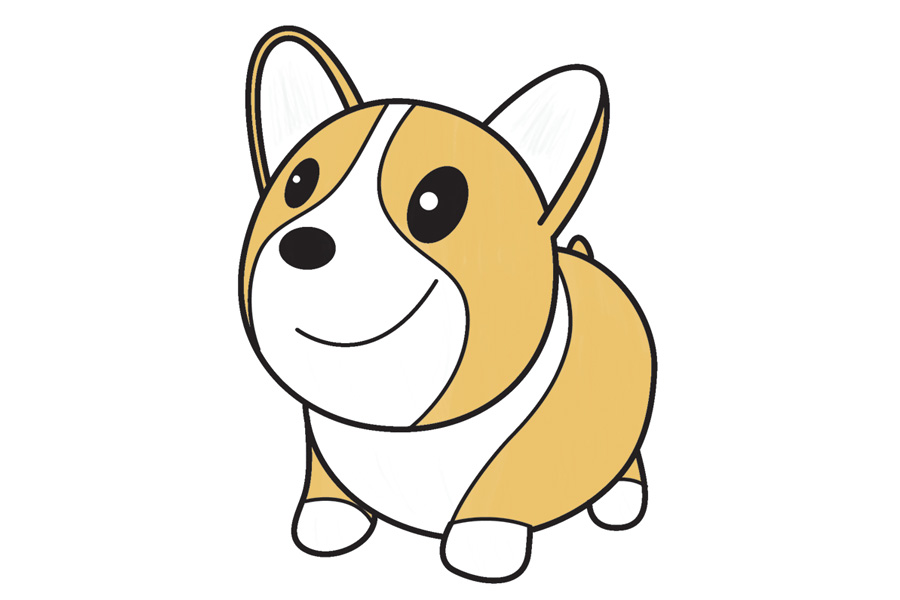 可爱的柯基宝宝简笔画画法步骤