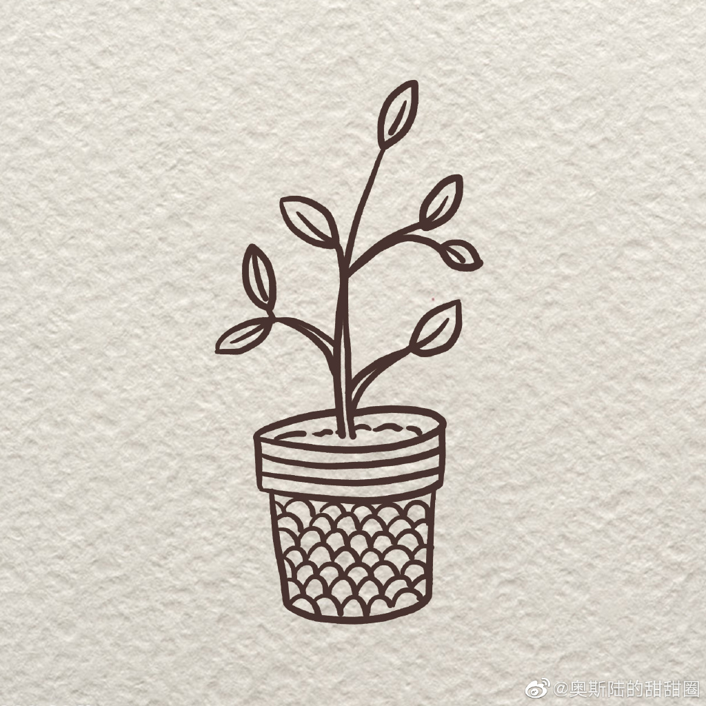 漂亮的盆栽简笔画合集-图1