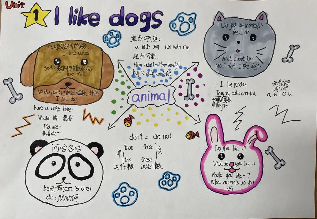 四五年级创意英语手抄报图片-图3