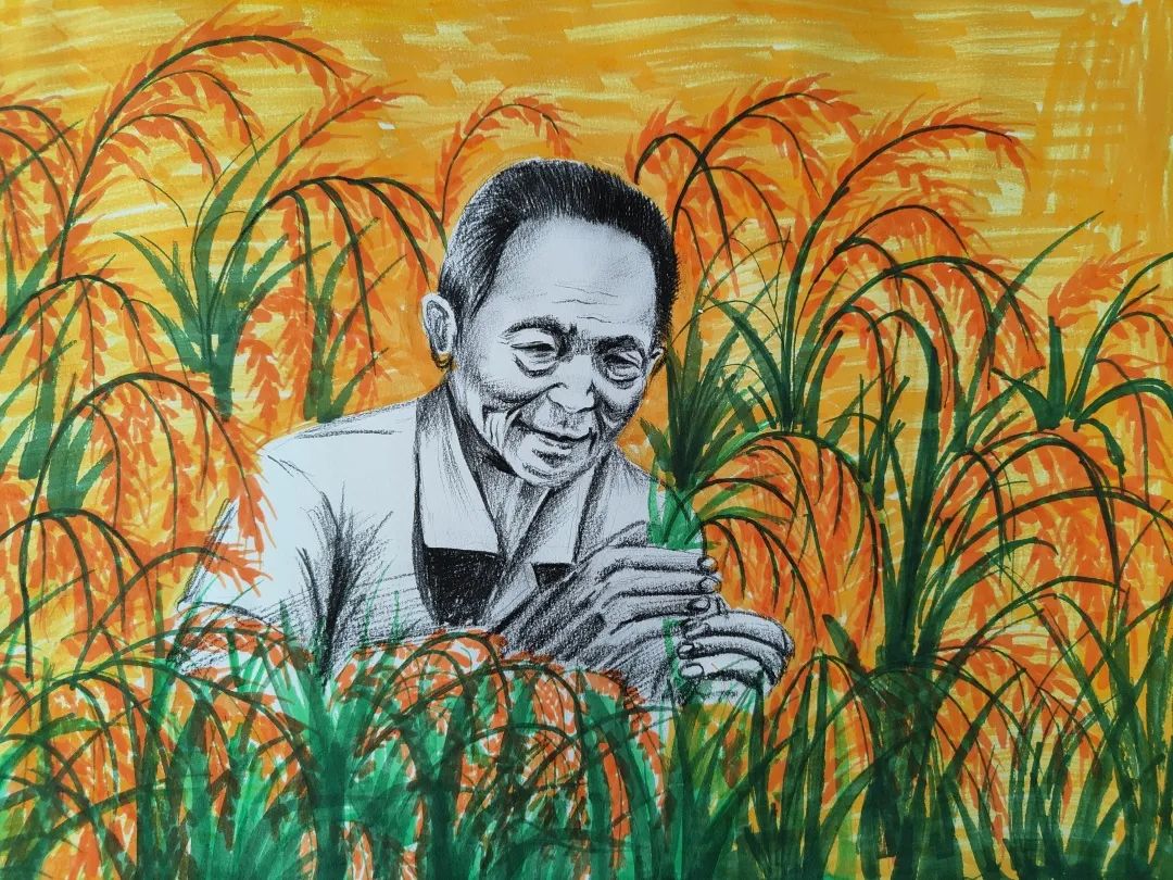 中国科学家袁隆平主题绘画作品-图1