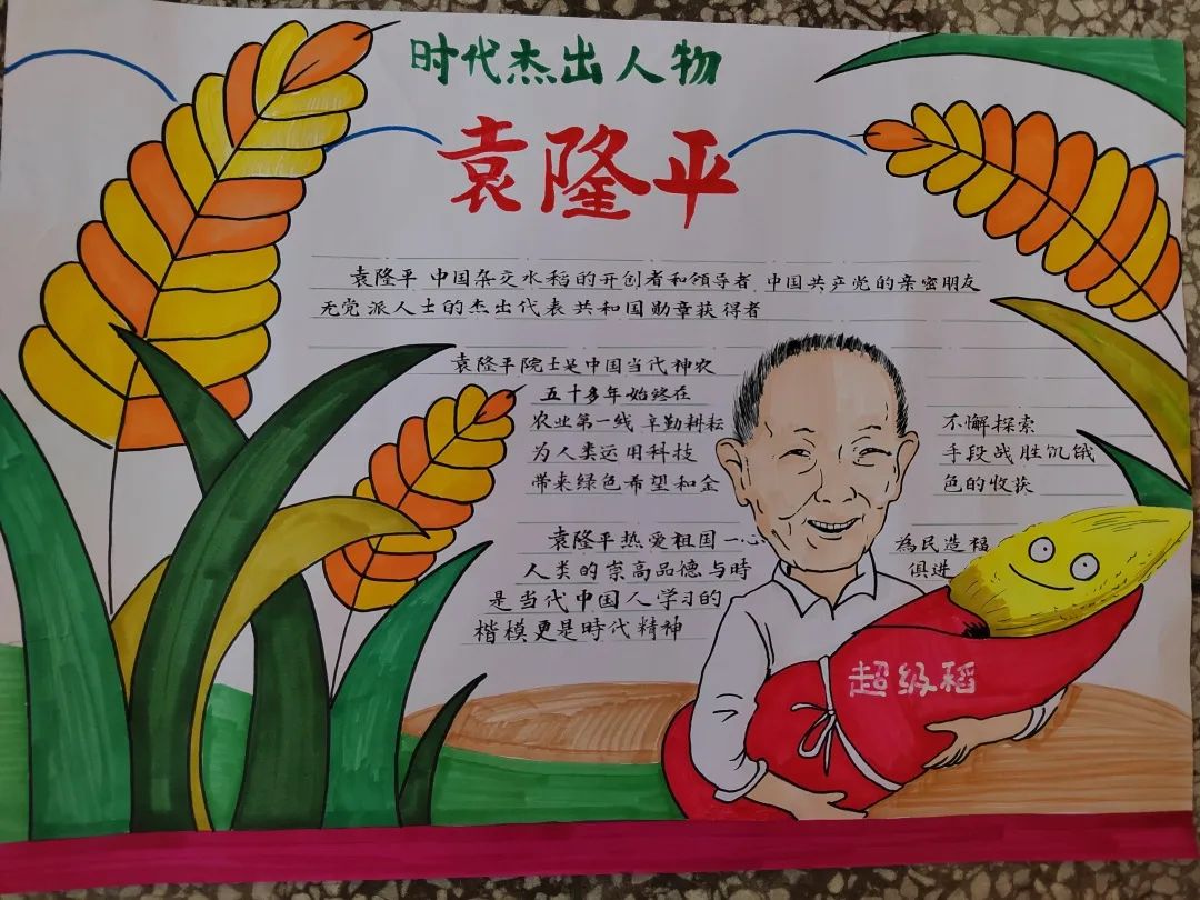 一组漂亮的杂交水稻之父-袁隆平主题绘画作品-图3