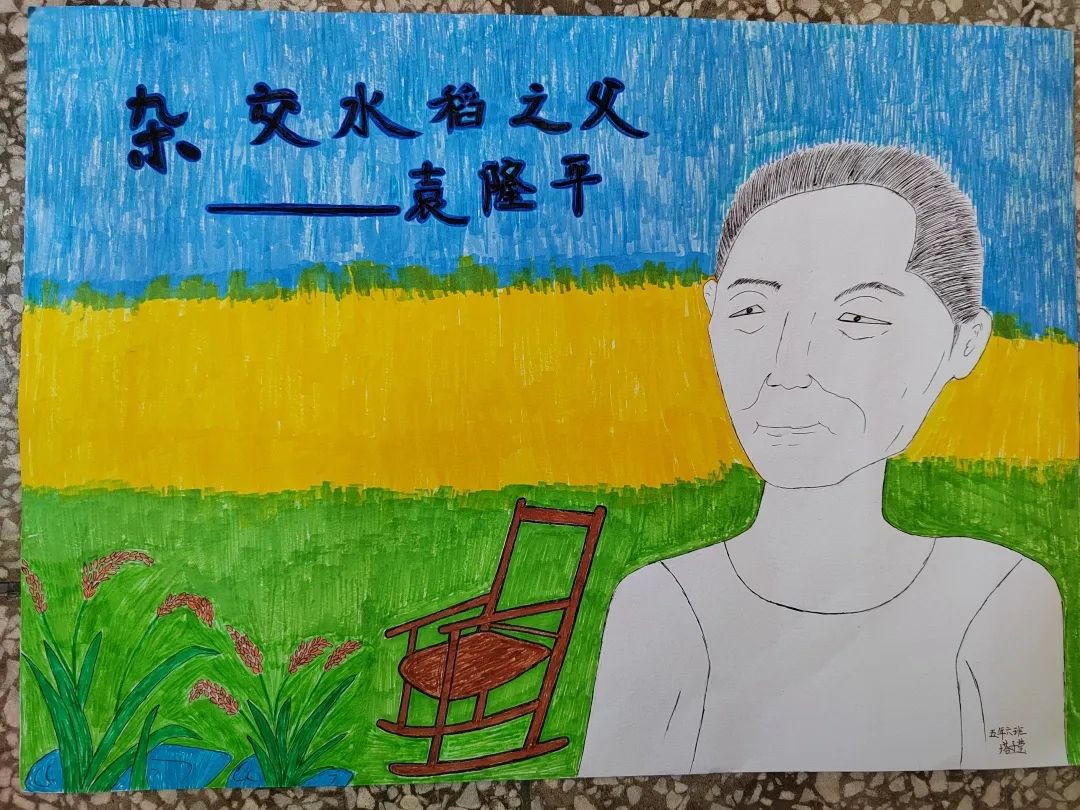 一组漂亮的杂交水稻之父-袁隆平主题绘画作品-图6