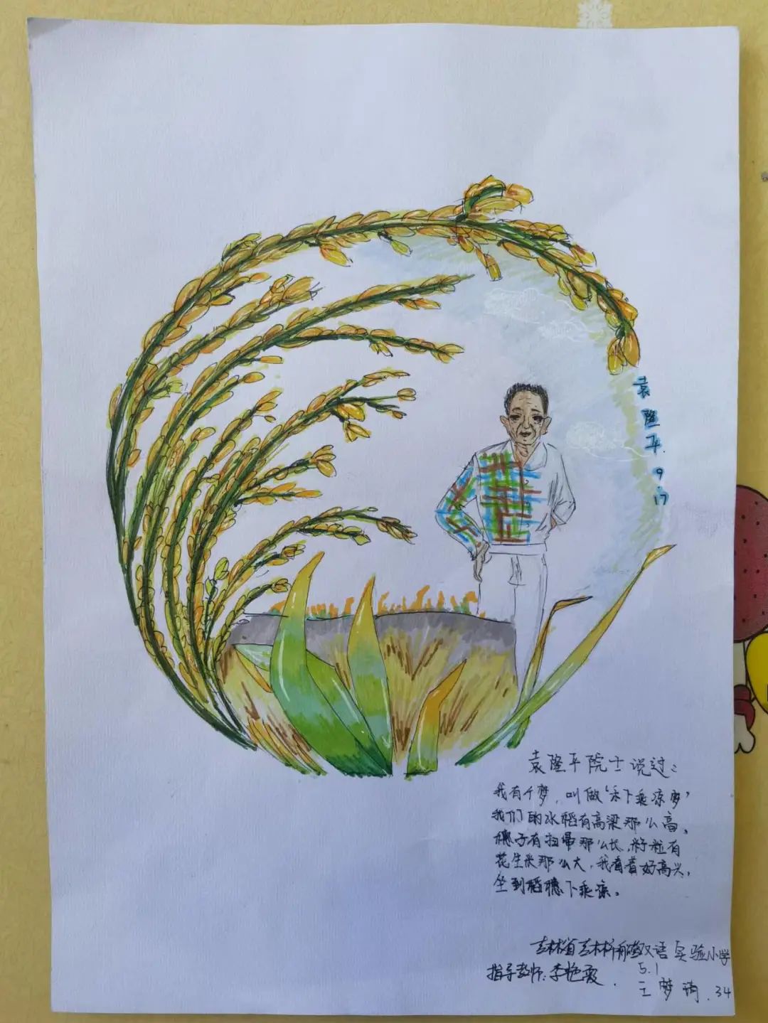 一组漂亮的杂交水稻之父-袁隆平主题绘画作品-图9