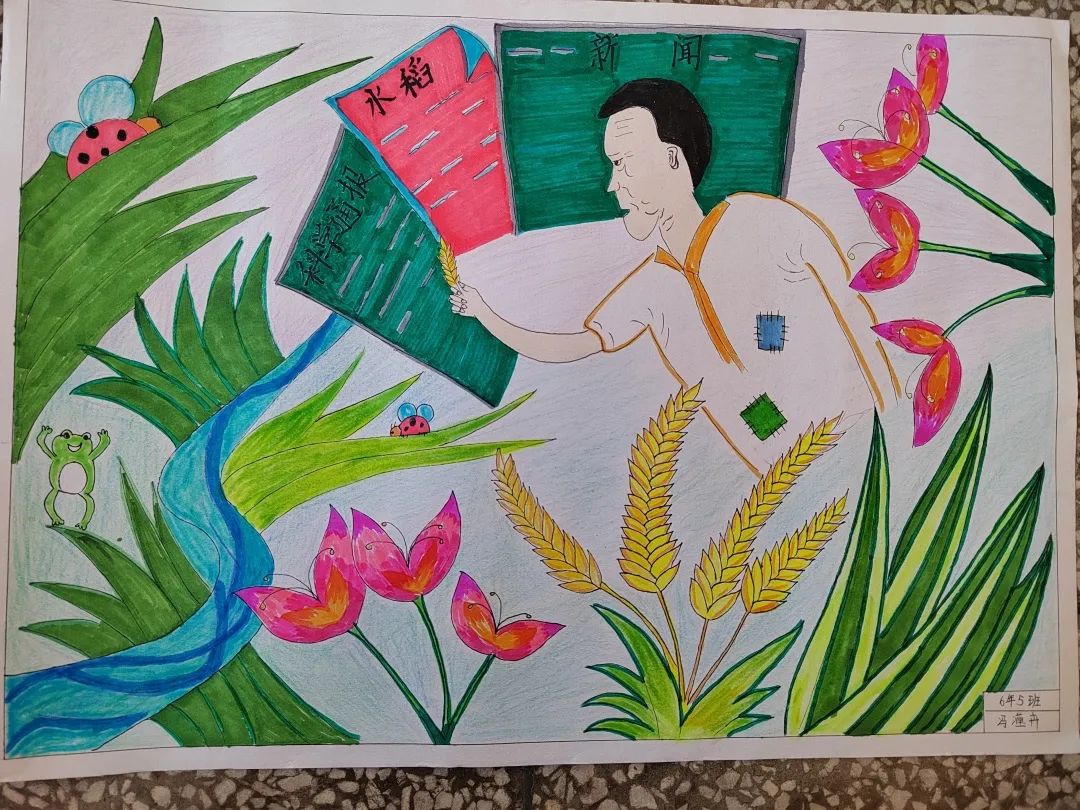 一组漂亮的杂交水稻之父-袁隆平主题绘画作品-图10