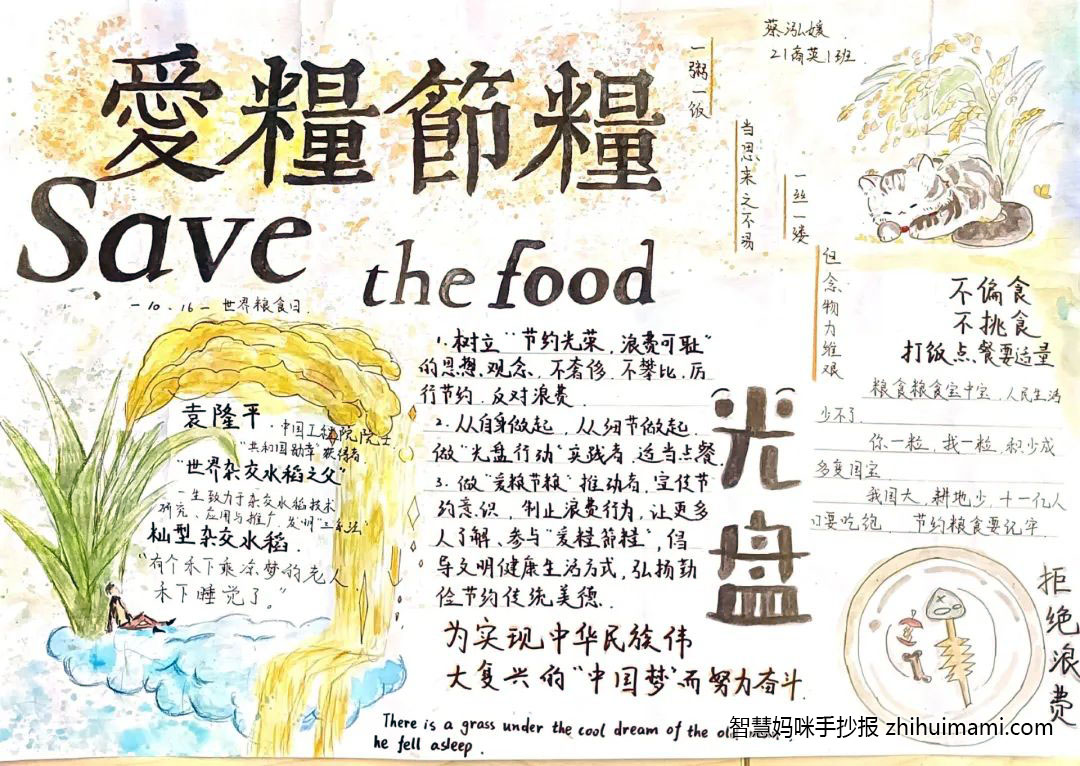 世界粮食日-爱粮节粮主题手抄报一等奖（9张）-图4