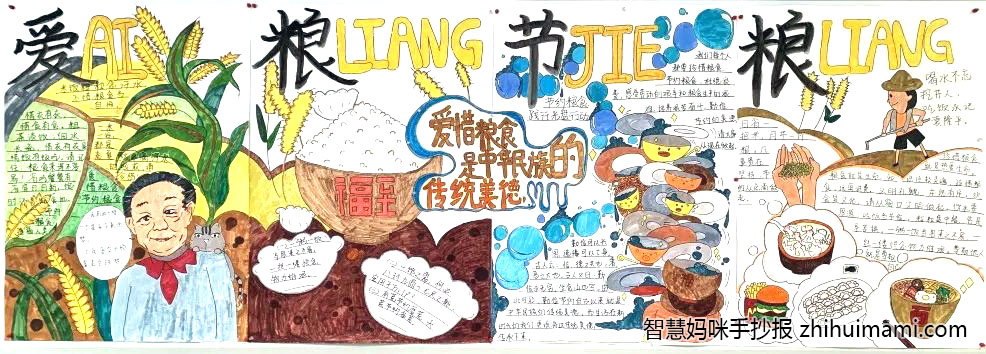 世界粮食日-爱粮节粮主题手抄报一等奖（9张）-图7