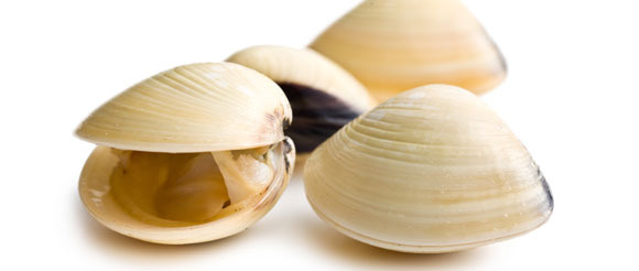 白贝 智慧妈咪网