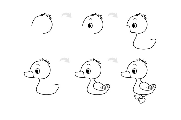 鸭子简笔画的画法和步骤