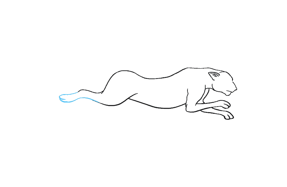 如何绘制猎豹：第11步