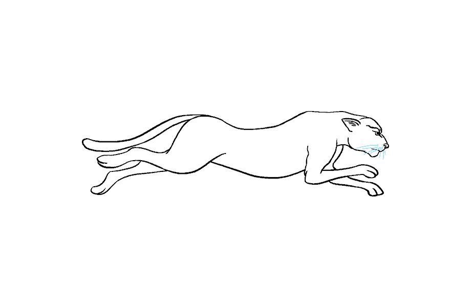 如何绘制猎豹：第15步