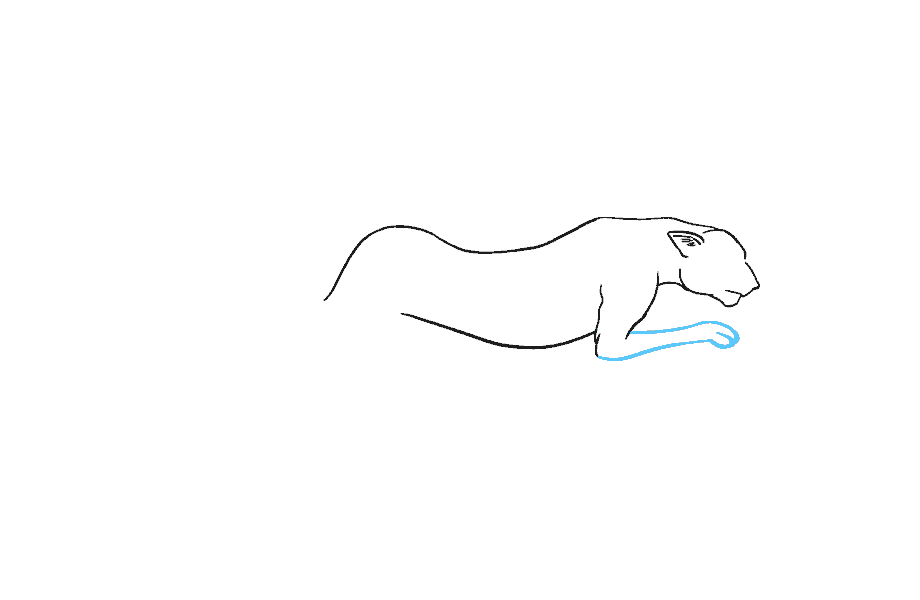 如何绘制猎豹：第8步