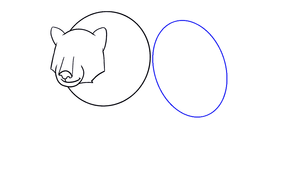 如何画熊：第10步