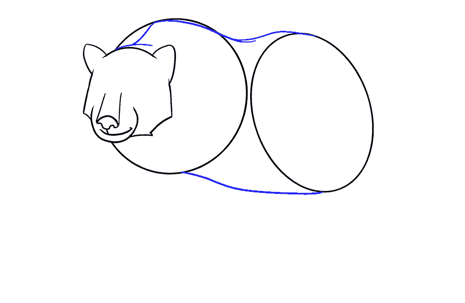 如何画熊：步骤11