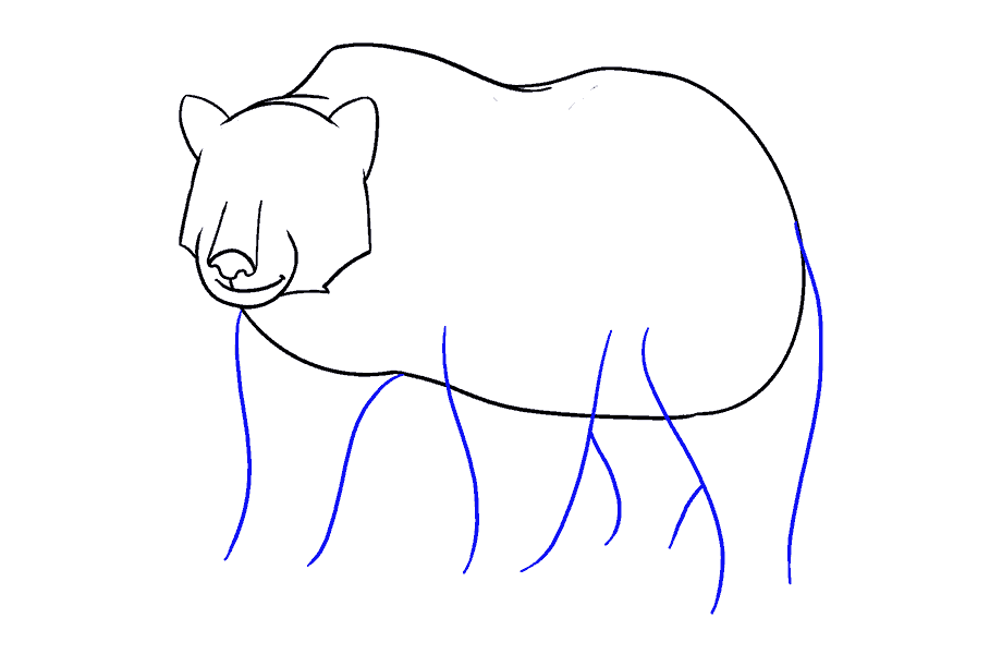 如何画熊：第13步