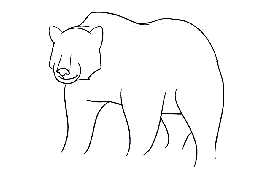 如何画熊：第14步