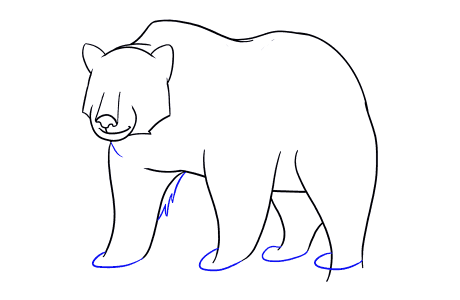 如何画熊：第15步