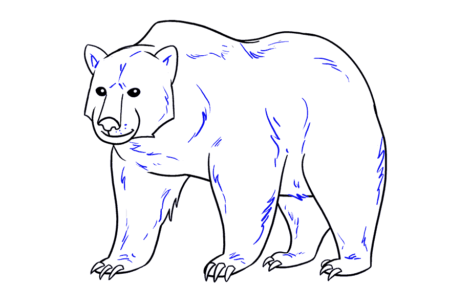 如何画熊：第19步