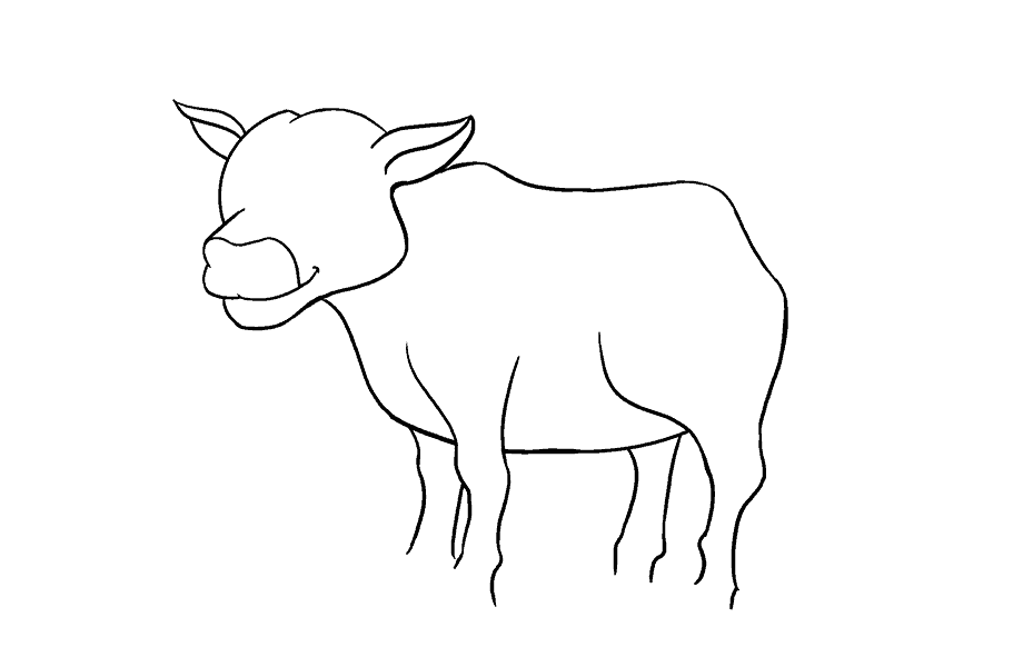 如何画牛：第14步