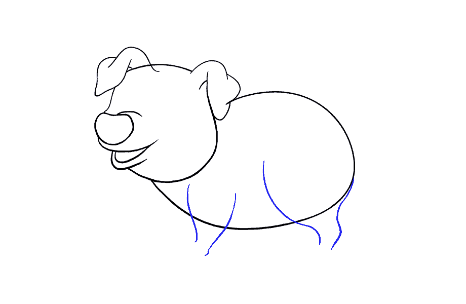 如何画卡通猪：第11步