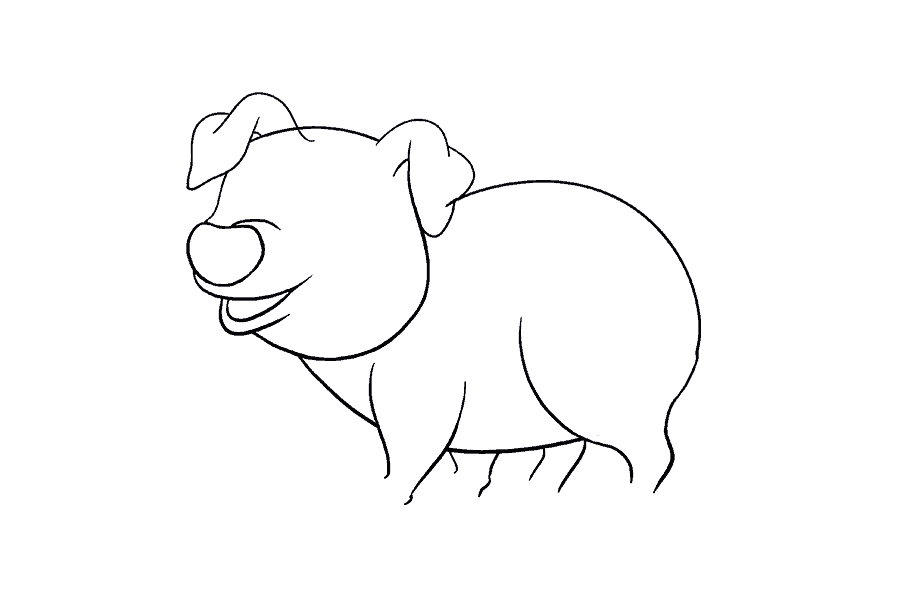 如何画卡通猪：第13步
