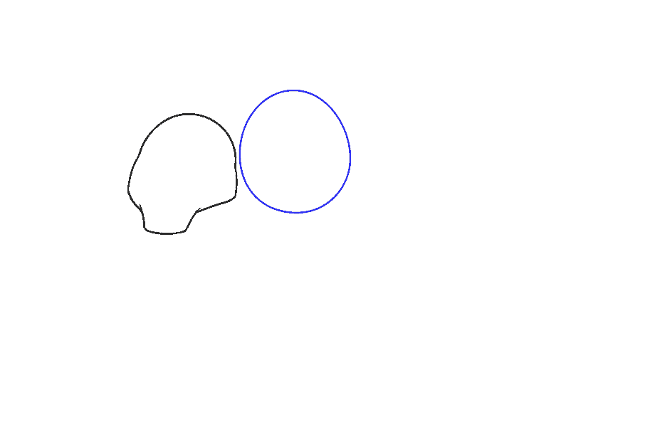 如何画卡通虎：第5步