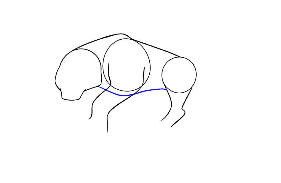 如何画卡通老虎：第9步
