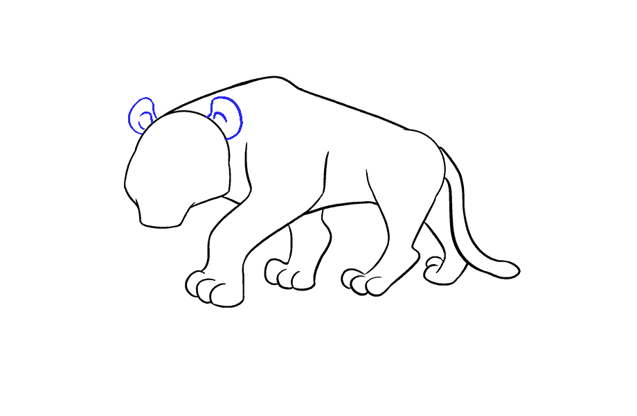 如何画卡通老虎：第14步