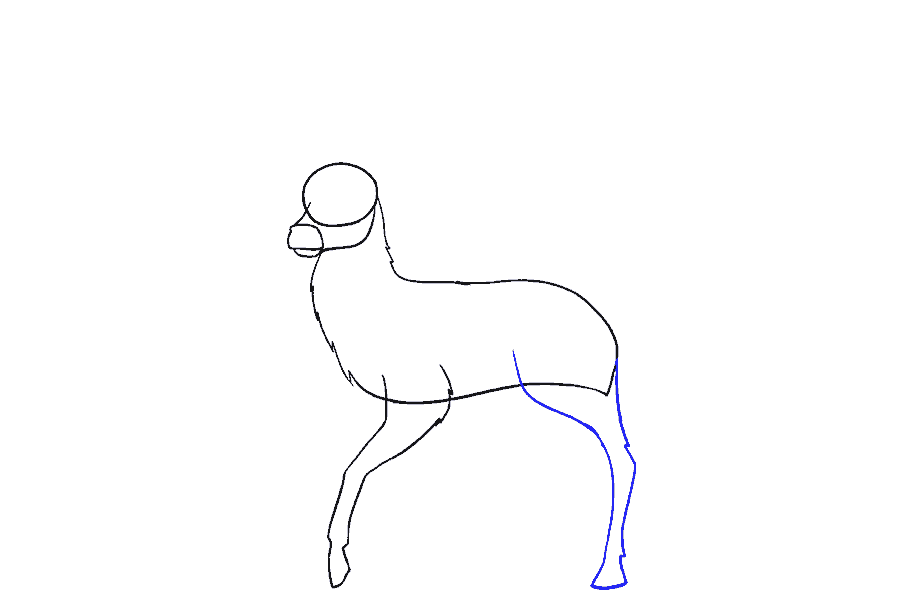 如何画鹿：第7步