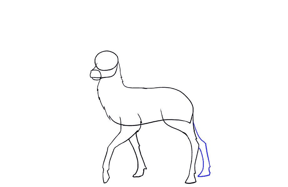 如何画鹿：第9步