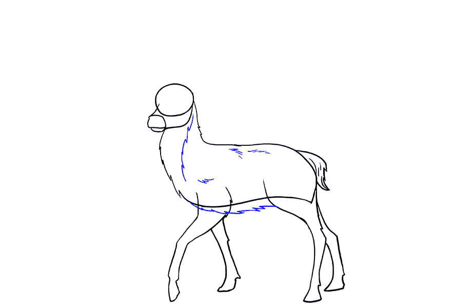 如何画鹿：第11步