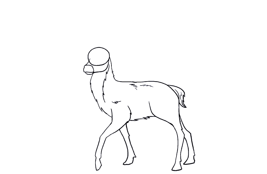 如何画鹿：第12步