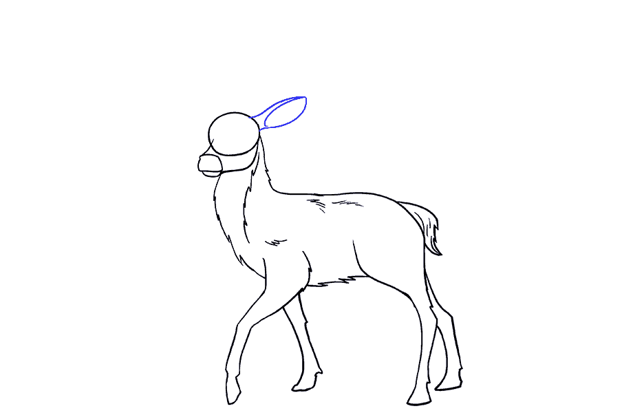 如何画鹿：第13步