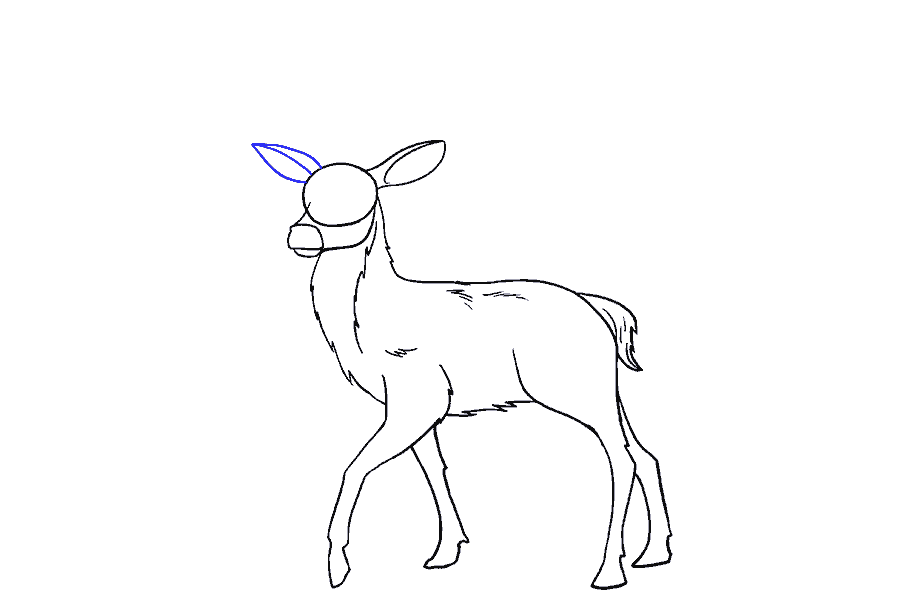如何画鹿：第14步