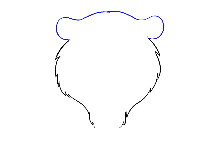 如何画虎脸：第5步