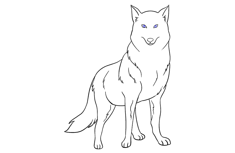 如何画狼：第18步