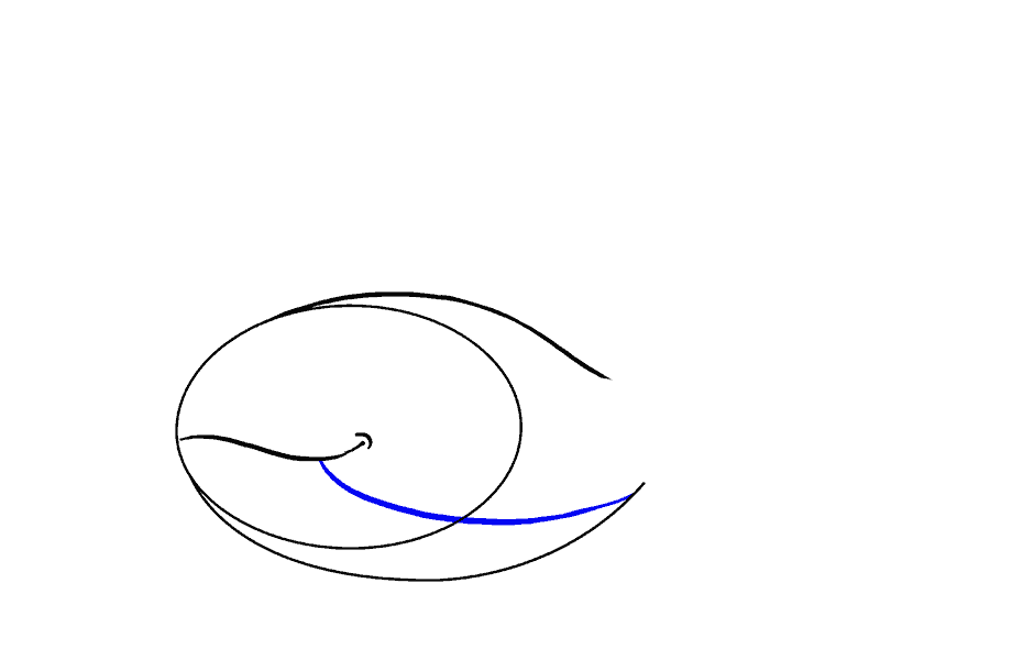 如何绘制鲸鱼：第5步